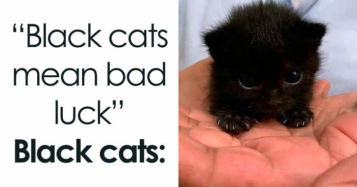 If You Are Feeling Down, These 83 Positive Posts Might Make Your Day (New Pics)