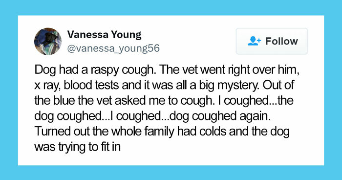 If You Are Feeling Down, These 83 Positive Posts Might Make Your Day (New Pics)