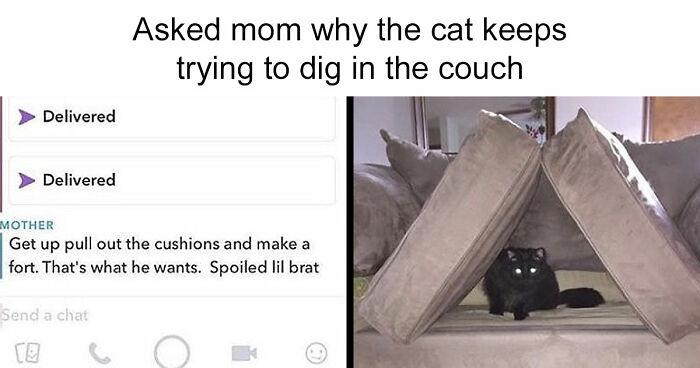 If You Are Feeling Down, These 83 Positive Posts Might Make Your Day (New Pics)