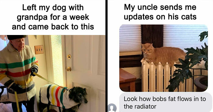 If You Are Feeling Down, These 83 Positive Posts Might Make Your Day (New Pics)