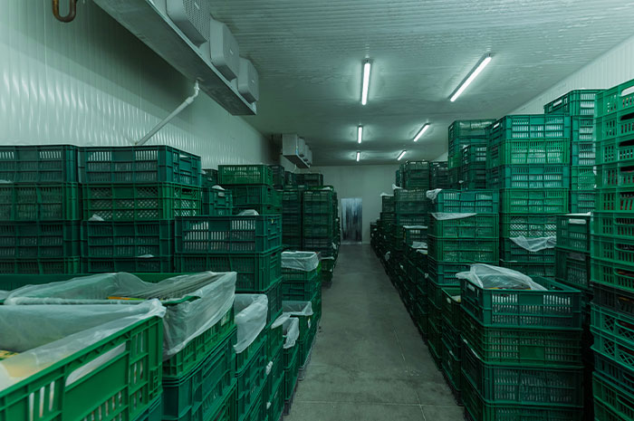 Cold storage facility with stacked crates illustrating career challenges