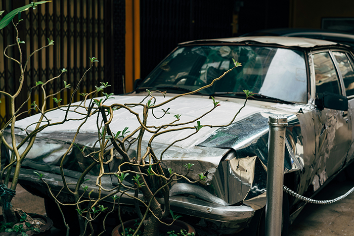 Image of a severely damaged car behind a small tree highlighting family feud aftermath