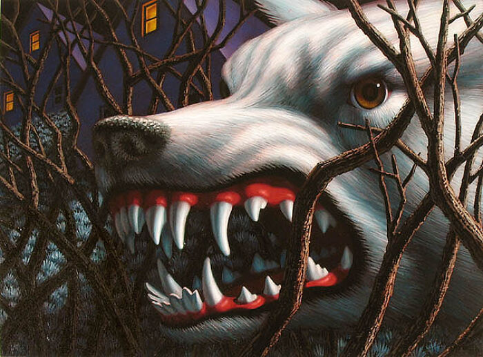 “Wild Kingdom”