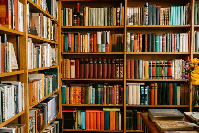 Bookshelves filled with colorful books in a cozy library setting