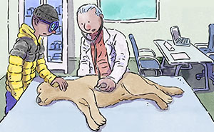 7 New Emotional “Sam & Oscar” Stories About The Love And Fear That Come With Having Pets