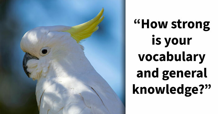 Only True Word Nerds Will Guess These 18 Words That All End In A Double-O