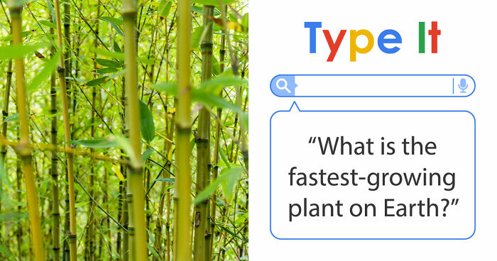 Only True Word Nerds Will Guess These 18 Words That All End In A Double-O