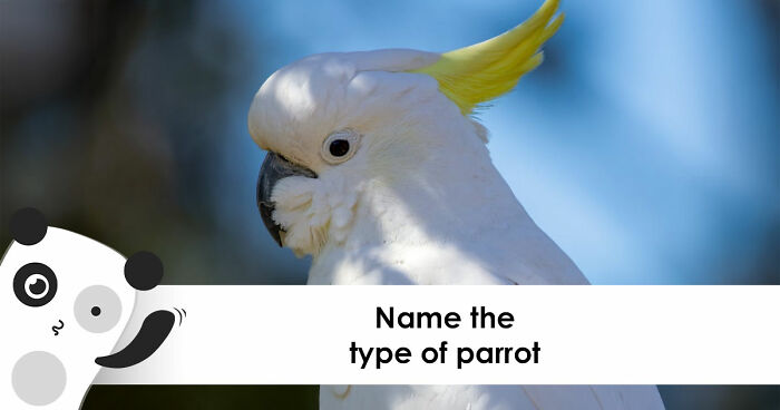 Only True Word Nerds Will Guess These 18 Words That All End In A Double-O