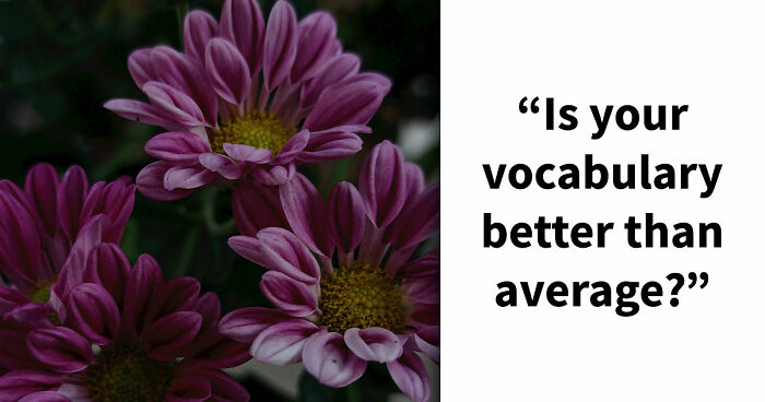 “Are Your Vocabulary Skills Top-Tier?”: Test Yourself By Solving 15 Compound Word Puzzles