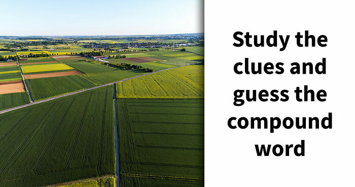“Are Your Vocabulary Skills Top-Tier?”: Test Yourself By Solving 15 Compound Word Puzzles