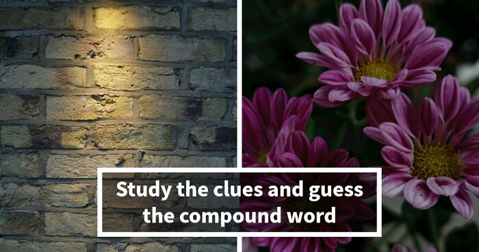 “Are Your Vocabulary Skills Top-Tier?”: Test Yourself By Solving 15 Compound Word Puzzles