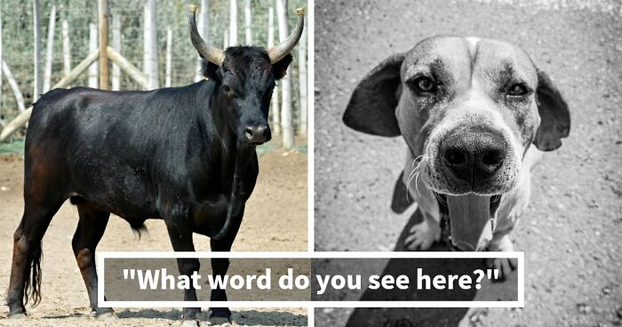 “Are Your Vocabulary Skills Top-Tier?”: Test Yourself By Solving 15 Compound Word Puzzles