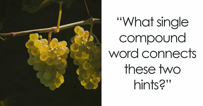 “Are Your Vocabulary Skills Top-Tier?”: Test Yourself By Solving 15 Compound Word Puzzles