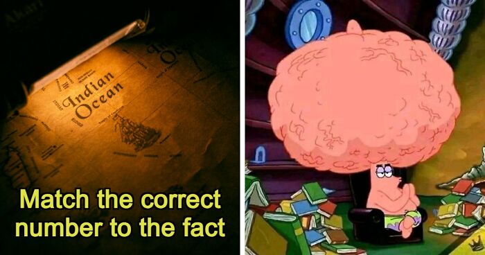 “How Many Bones Are In The Human Body?”: Test Yourself With 16 General Number Facts