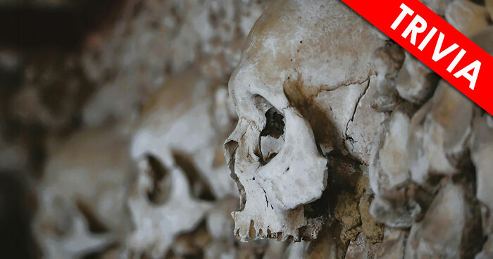 “How Many Bones Are In The Human Body?”: Test Yourself With 16 General Number Facts