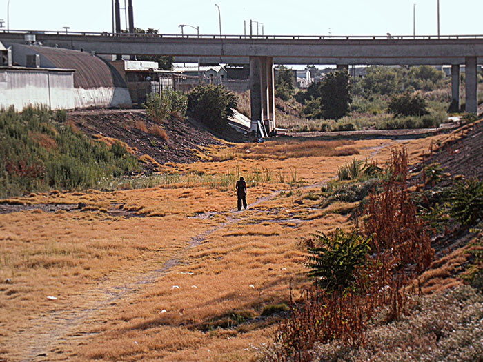Dry riverbed with overgrown plants and a person walking under a highway bridge in the US