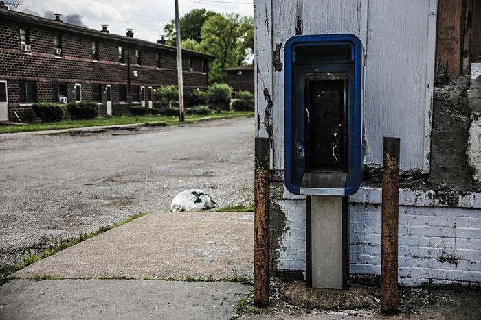 Abandoned outdoor payphone with a bunny nearby in a US urban area