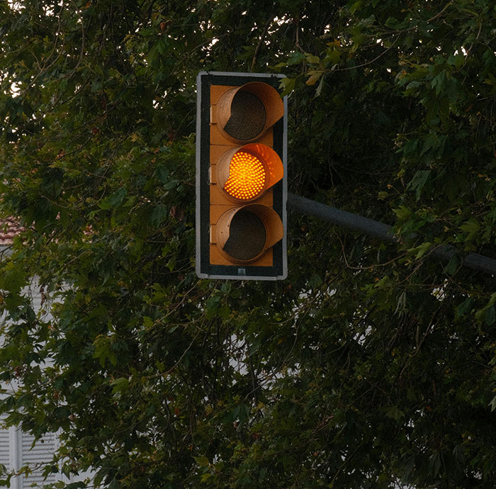A traffic light with a bright yellow signal, partially obscured by green tree leaves. Drivers must pay attention to signals to avoid road rage.