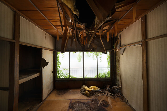 Room with damaged ceiling and overgrown window in abandoned house nightmare stories