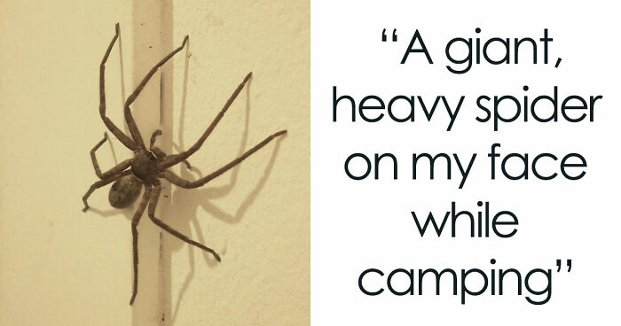 33 Stories That Prove Sometimes The Real Nightmare Starts After You Wake Up