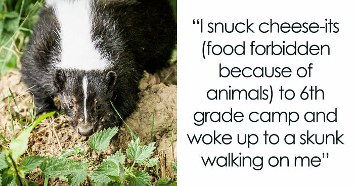 33 Stories That Prove Sometimes The Real Nightmare Starts After You Wake Up