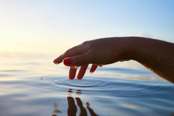 A hand with red nail polish dips into calm water, creating ripples. The scientific fact relates to crows holding a grudge.