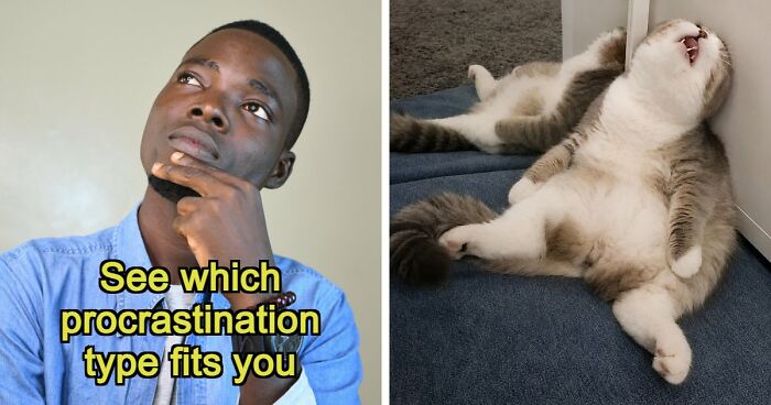 Find Out Exactly What Type Of Procrastinator You Are With These 27 Questions