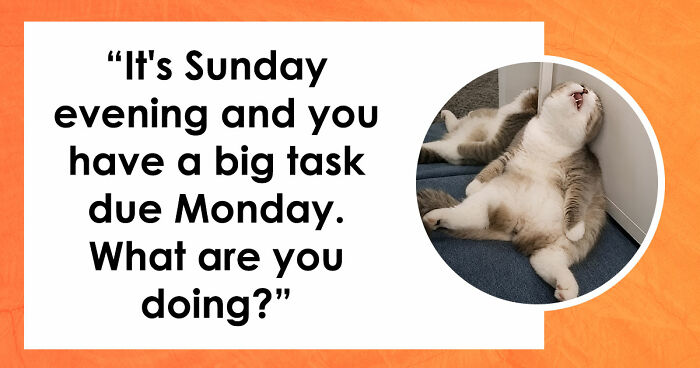 Find Out Exactly What Type Of Procrastinator You Are With These 27 Questions