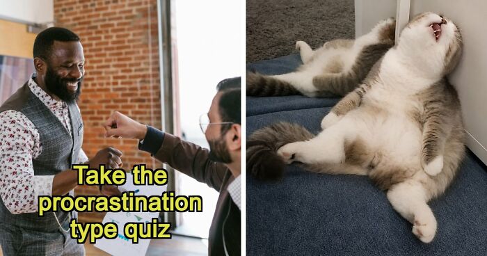 Find Out Exactly What Type Of Procrastinator You Are With These 27 Questions