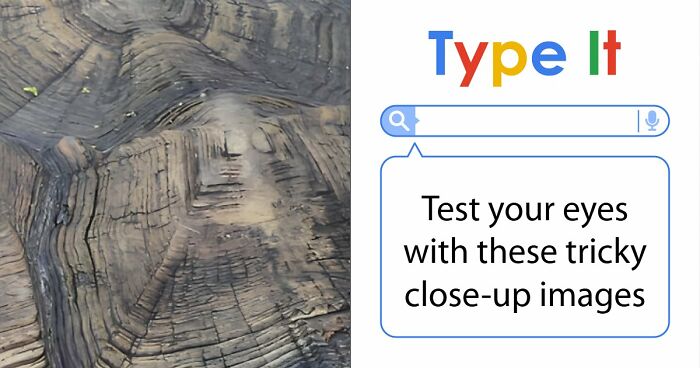 “Think Your Eyes Are Sharp?”: Identify These 16 Everyday Objects From Extreme Close-Ups