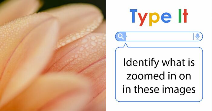 “Think Your Eyes Are Sharp?”: Identify These 16 Everyday Objects From Extreme Close-Ups