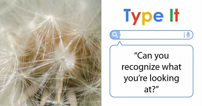 “Think Your Eyes Are Sharp?”: Identify These 16 Everyday Objects From Extreme Close-Ups