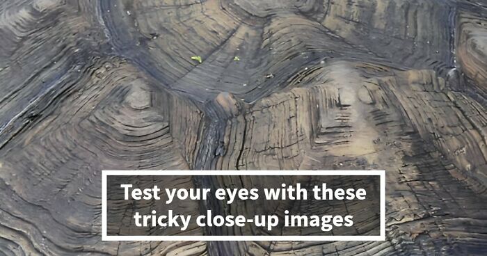 “Think Your Eyes Are Sharp?”: Identify These 16 Everyday Objects From Extreme Close-Ups