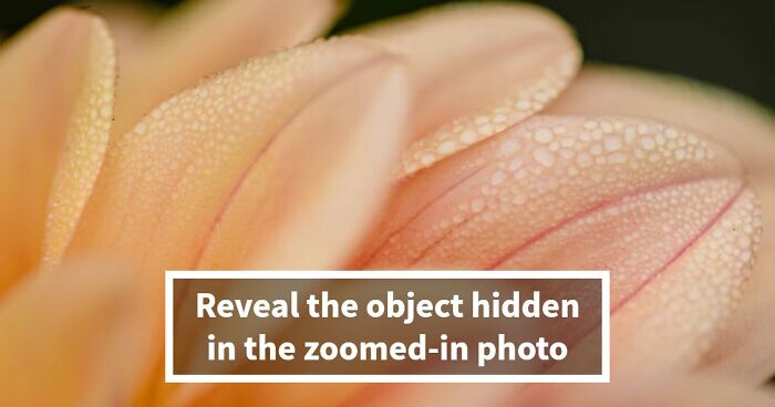 “Think Your Eyes Are Sharp?”: Identify These 16 Everyday Objects From Extreme Close-Ups