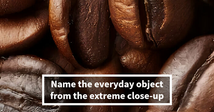 “Think Your Eyes Are Sharp?”: Identify These 16 Everyday Objects From Extreme Close-Ups