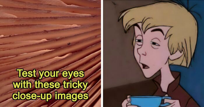 “Think Your Eyes Are Sharp?”: Identify These 16 Everyday Objects From Extreme Close-Ups