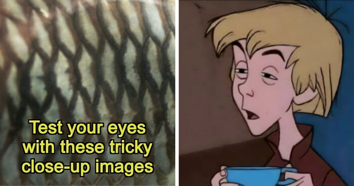 “Think Your Eyes Are Sharp?”: Identify These 16 Everyday Objects From Extreme Close-Ups