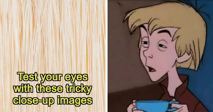 “Think Your Eyes Are Sharp?”: Identify These 16 Everyday Objects From Extreme Close-Ups