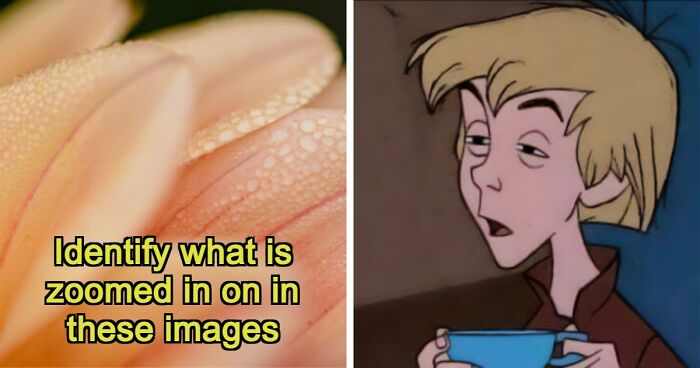 “Think Your Eyes Are Sharp?”: Identify These 16 Everyday Objects From Extreme Close-Ups