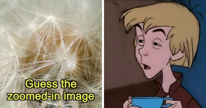 “Think Your Eyes Are Sharp?”: Identify These 16 Everyday Objects From Extreme Close-Ups
