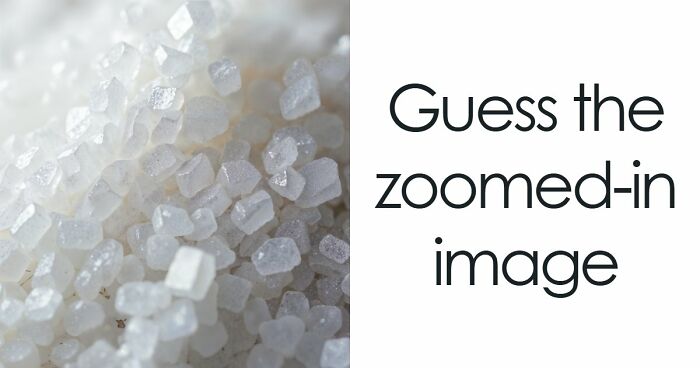 “Think Your Eyes Are Sharp?”: Identify These 16 Everyday Objects From Extreme Close-Ups