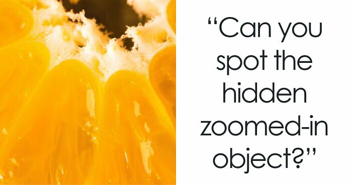 “Think Your Eyes Are Sharp?”: Identify These 16 Everyday Objects From Extreme Close-Ups
