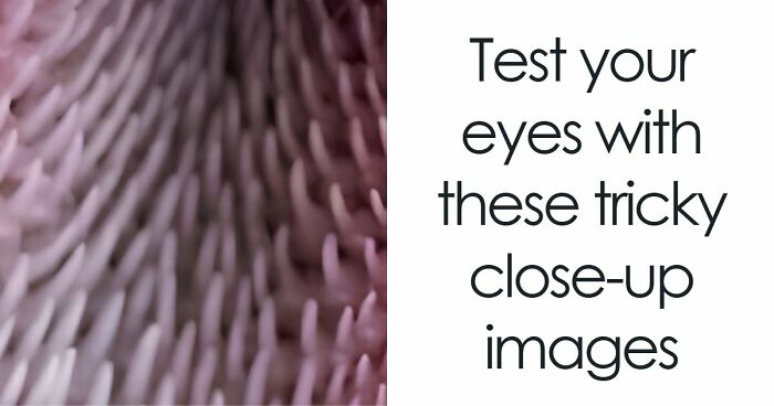 “Think Your Eyes Are Sharp?”: Identify These 16 Everyday Objects From Extreme Close-Ups