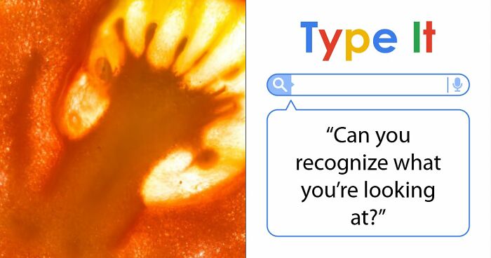 “Think Your Eyes Are Sharp?”: Identify These 16 Everyday Objects From Extreme Close-Ups