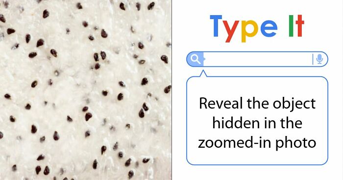 “Think Your Eyes Are Sharp?”: Identify These 16 Everyday Objects From Extreme Close-Ups