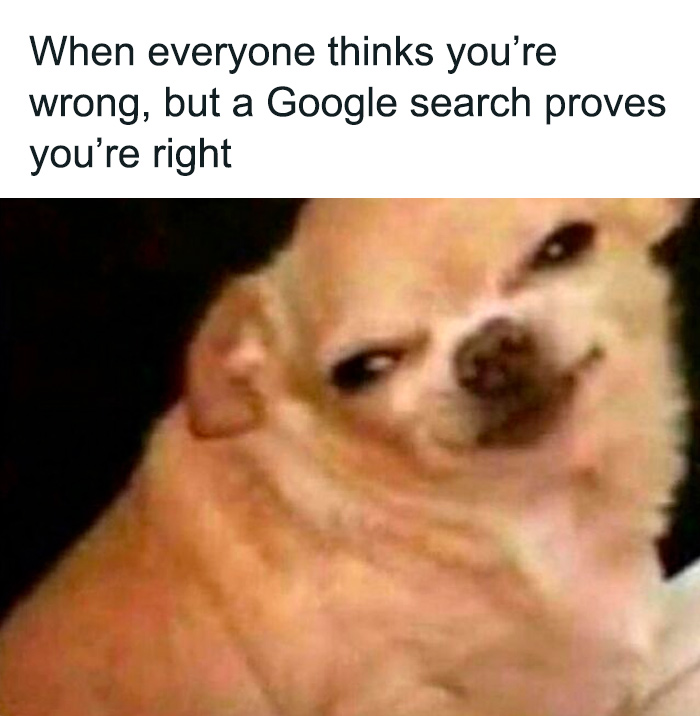 Funny meme of a smug dog showing internet proving you're right