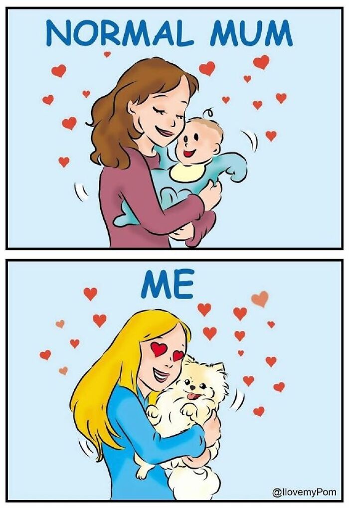 These Hilarious Comics Perfectly Capture What Life Is Like When You’re Obsessed With Pomeranians (40 New Comics)
