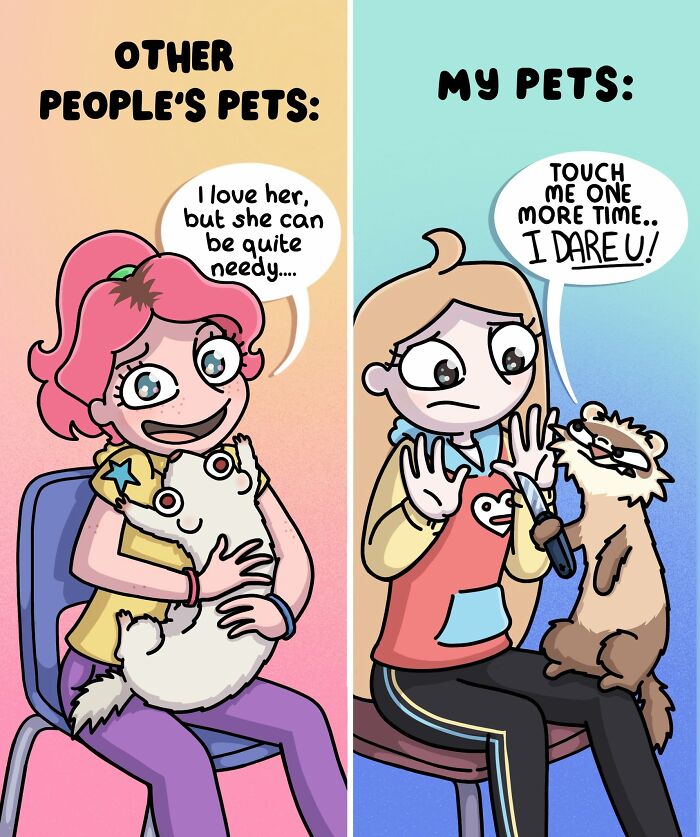 Comparing other peoples pets to my pets, showing a needy cat versus a ferret with a knife, illustrating funny situations.
