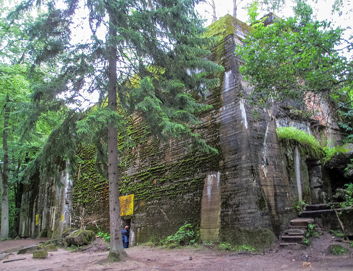 Adolf Hitler's Wolf's Lair. Moss-covered concrete bunker hidden in dense forest