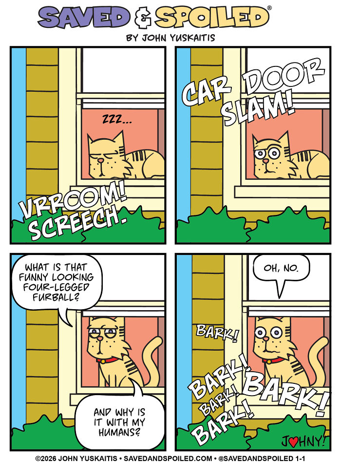 Cat at window with loud noises and dog barking in dog and cat comics